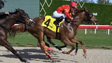 Así quedaron los resultados de las carreras de Gulfstream Park 24-01-24 Así quedaron los resultados de las carreras de Gulfstream Park 24-01-24