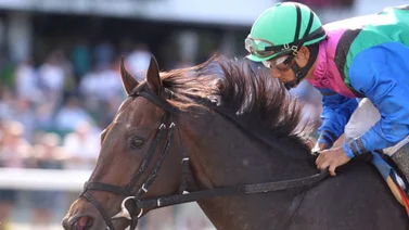 Jockey mexicano es el mas destacado el miércoles en Gulfstream Park