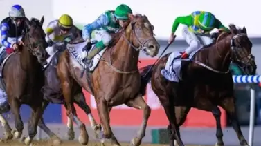 El Al Maktoum Challenge y su millonaria bolsa tendrá en competencia a estos ejemplares El Al Maktoum Challenge y su millonaria bolsa tendrá en competencia a estos ejemplares