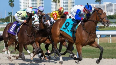 Retiran a tres ejemplares que participarían en un stakes el sábado en Gulfstream Park