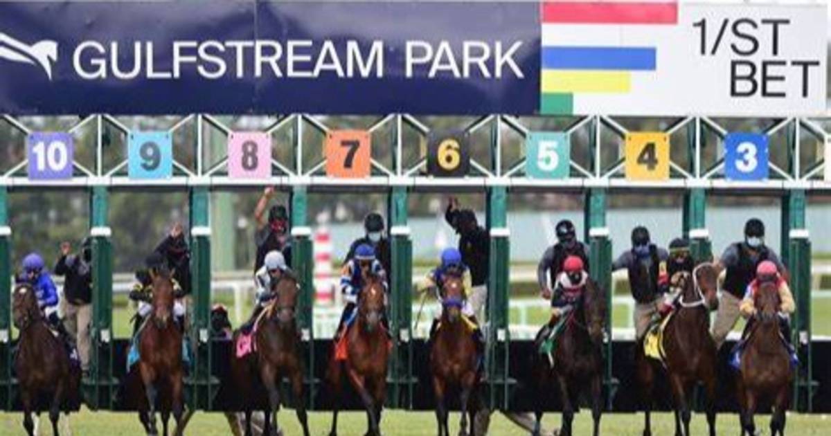 Aquí el fijo y los datos para jugar el Pick Six Gulfstream Park 25012024