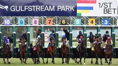Aquí el fijo y los datos para jugar el Pick Six Gulfstream Park 25-01-2024