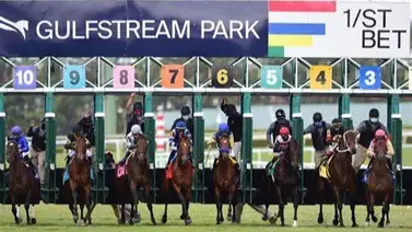 Aquí el fijo y los datos para jugar el Pick Six Gulfstream Park 25-01-2024 Aquí el fijo y los datos para jugar el Pick Six Gulfstream Park 25-01-2024