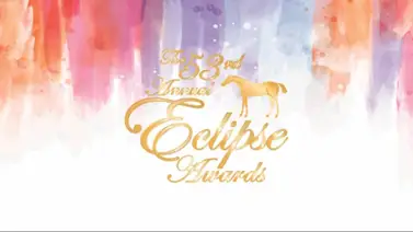 ¿Dónde y a qué hora se puede ver la ceremonia del Premio Eclipse 2024? ¿Dónde y a qué hora se puede ver la ceremonia del Premio Eclipse 2024?