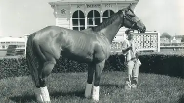 ¿Sabías que Cañonero ganó un Premio Eclipse? Esta es la historia ¿Sabías que Cañonero ganó un Premio Eclipse? Esta es la historia
