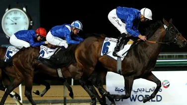 Godolphin busca el arrase con sus inscritos en el Jebel Hatta este viernes en Meydan