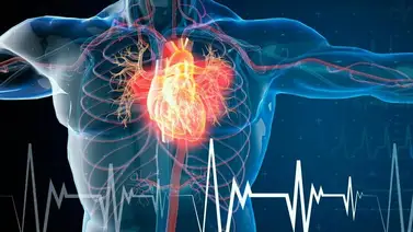 ¿Sabías que hay una fruta que te ayuda a conservar la salud cardiovascular? Entérate cuál es ¿Sabías que hay una fruta que te ayuda a conservar la salud cardiovascular? Entérate cuál es