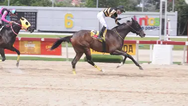Nieta de My Own Business es la más rápida en los ajustes del miércoles en La Rinconada Nieta de My Own Business es la más rápida en los ajustes del miércoles en La Rinconada