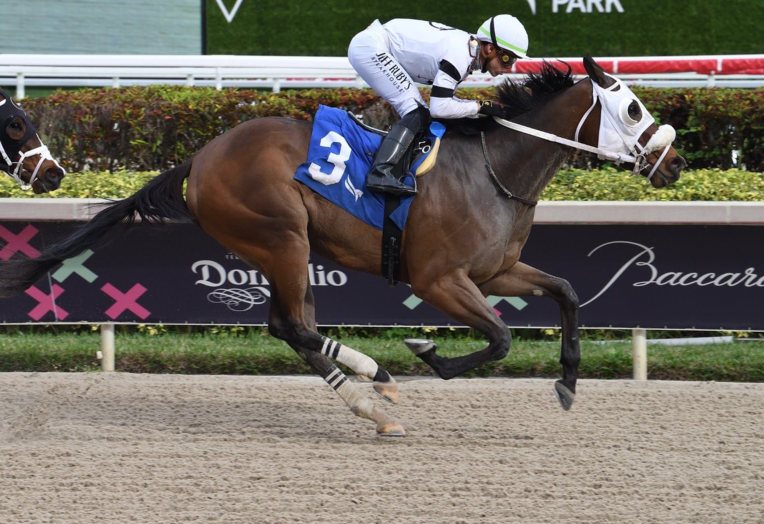 As Quedaron Los Resultados De Las Carreras De Gulfstream Park 25 1 2024   1706218343748 