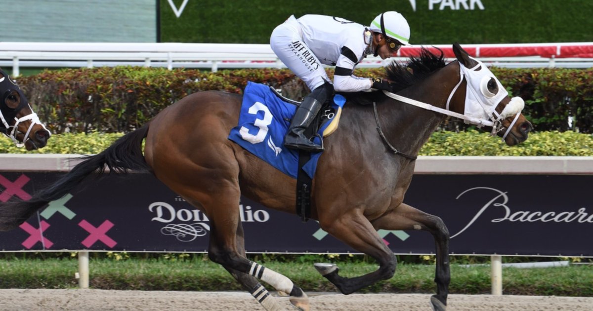 Así quedaron los resultados de las carreras de Gulfstream Park 2512024