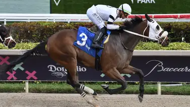 Así quedaron los resultados de las carreras de Gulfstream Park 25-1-2024 Así quedaron los resultados de las carreras de Gulfstream Park 25-1-2024