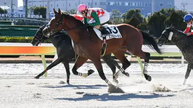 ¡Un verdadero peso pesado! Mira el récord que implanta este hijo de Justify en Japón ¡Un verdadero peso pesado! Mira el récord que implanta este hijo de Justify en Japón