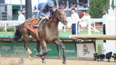 Oficial: Cody’s Wish es el Caballo del Año 2023 en Estados Unidos Oficial: Cody’s Wish es el Caballo del Año 2023 en Estados Unidos