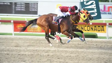 Así es el ajuste de la línea de Gaceta Hípica para el domingo en La Rinconada Así es el ajuste de la línea de Gaceta Hípica para el domingo en La Rinconada