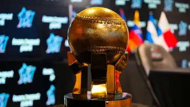 Serie del Caribe: Estos son los umpires venezolanos para la edición 2024 Serie del Caribe: Estos son los umpires venezolanos para la edición 2024