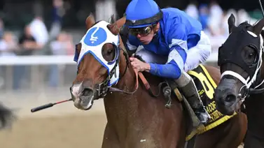 La campeona de tres años en Estados Unidos tiene nombre: Pretty Mischievous La campeona de tres años en Estados Unidos tiene nombre: Pretty Mischievous