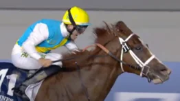 Kabirkhan galopa el Al Maktoum Challenge y se vivió con transmisión de Meridiano Televisión