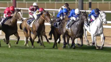 Measured Time resulta superior en el Jebel Hatta y se disfrutó por la pantalla de Meridiano Televisión Measured Time resulta superior en el Jebel Hatta y se disfrutó por la pantalla de Meridiano Televisión