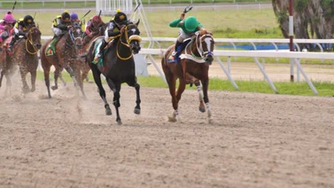 Datos de Ultima Hora para el Hipódromo La Rinconada 28-01-2024