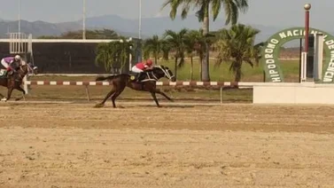 Estos son los retirados del Hipódromo de Valencia 27-01-2024