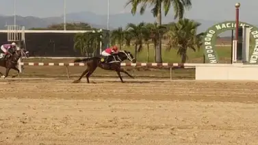 Estos son los retirados del Hipódromo de Valencia 27-01-2024 Estos son los retirados del Hipódromo de Valencia 27-01-2024