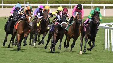 Así quedaron los resultados de las carreras de Gulfstream Park 26-01-24
