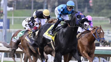 Newgrange busca ganar por segundo año el San Pasqual Stakes en Santa Anita