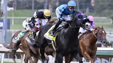 Newgrange busca ganar por segundo año el San Pasqual Stakes en Santa Anita Newgrange busca ganar por segundo año el San Pasqual Stakes en Santa Anita