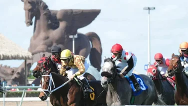 Estos son los Picks y el Best Bet de Meridiano para la jornada del Pegasus World Cup