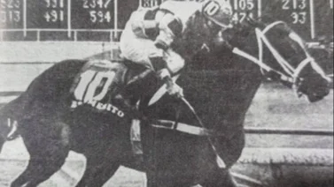 1986 fue el año de Tiburones de La Guaira y del caballo Benemérito