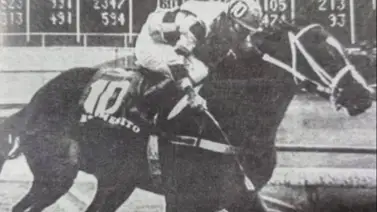 1986 fue el año de Tiburones de La Guaira y del caballo Benemérito 1986 fue el año de Tiburones de La Guaira y del caballo Benemérito