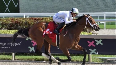 Irad Ortiz Jr. tiene su propio show en Gulstream Park 