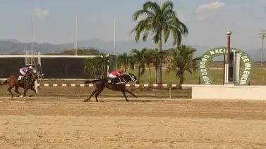 Estos fueron los dividendos del 5y6 este sábado en la reunión dos en Valencia Estos fueron los dividendos del 5y6 este sábado en la reunión dos en Valencia