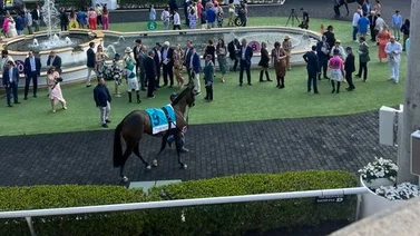 Yegua latinoamericana brilla en la Pegasus World Cup Filly & Mare Turf (G2)