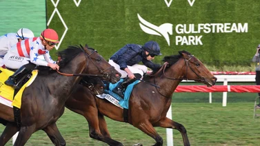 Warm Heart conquista la Pegasus World Cup Turf Invitational Stakes (Gr. 1)