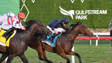 Warm Heart conquista la Pegasus World Cup Turf Invitational Stakes (Gr. 1) Warm Heart conquista la Pegasus World Cup Turf Invitational Stakes (Gr. 1)