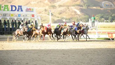 Aquí están los favoritos de la cátedra para el 5 y 6 Nacional de la reunión 3 del 2024 en La Rinconada Aquí están los favoritos de la cátedra para el 5 y 6 Nacional de la reunión 3 del 2024 en La Rinconada