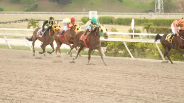 Estos son los retirados en la reunión 3 del hipodromo La Rinconada este domingo 28-01-2024 Estos son los retirados en la reunión 3 del hipodromo La Rinconada este domingo 28-01-2024