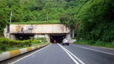 ¿Cómo afectará el cierre de la autopista Caracas-La Guaira a la serie final de la LVBP?