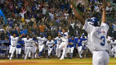 LIDOM: Tigres del Licey se coronaron campeones de la pelota invernal dominicana LIDOM: Tigres del Licey se coronaron campeones de la pelota invernal dominicana
