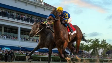 Conoce la razón por la cual Junior Alvarado no buscó la baranda con Señor Buscador en la Pegasus World Cup