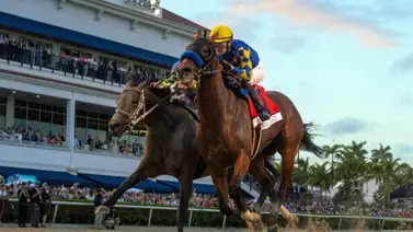 Conoce la razón por la cual Junior Alvarado no buscó la baranda con Señor Buscador en la Pegasus World Cup Conoce la razón por la cual Junior Alvarado no buscó la baranda con Señor Buscador en la Pegasus World Cup