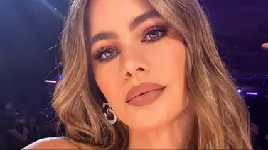 ¡Color de hormiga brava! Sofía Vergara responde a los detractores de las narconovelas ¡Color de hormiga brava! Sofía Vergara responde a los detractores de las narconovelas