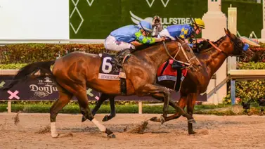 Senor Buscador tiene un nuevo destino y esta puede ser su próxima carrera Senor Buscador tiene un nuevo destino y esta puede ser su próxima carrera