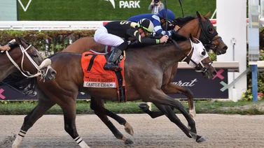 Meridiano acierta el Pick 6 y el Pick 5 en la jornada del Pegasus World Cup y estos fueron los dividendos