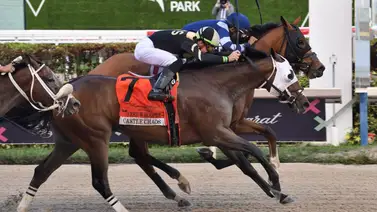 Meridiano acierta el Pick 6 y el Pick 5 en la jornada del Pegasus World Cup y estos fueron los dividendos Meridiano acierta el Pick 6 y el Pick 5 en la jornada del Pegasus World Cup y estos fueron los dividendos