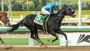 Jinete mexicano logra este stakes de grado en Santa Anita