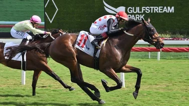 Jinete puertorriqueño gana la primera carrera en Gulfstream Park luego de la Pegasus World Cup