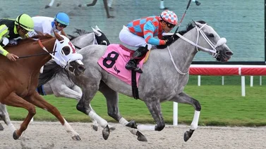 Emisael Jaramillo explota la taquilla este domingo en Gulfstream Park