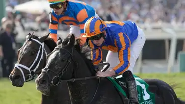 Auguste Rodin ahora va por la bolsa grande de esta carrera en Dubai Auguste Rodin ahora va por la bolsa grande de esta carrera en Dubai